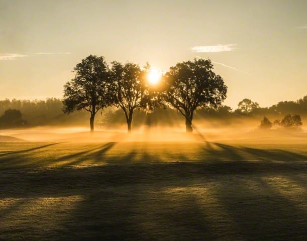 Sunrise on a golf course