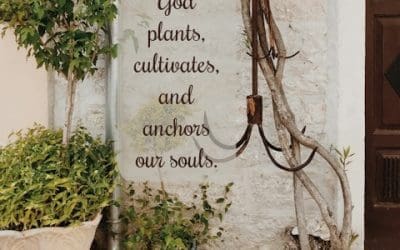 Planted, Cultivated & Anchored