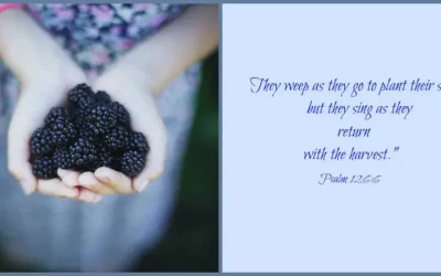 Remember the Past/Hope for the Future 