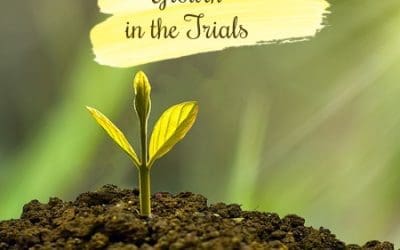 Growth in the Trials