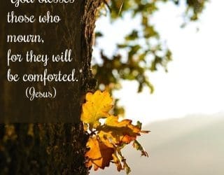 Mourning & Comfort 