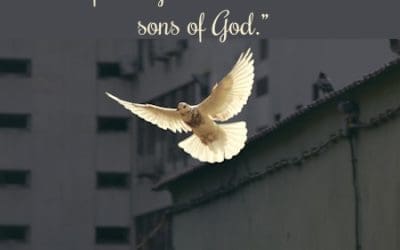 Blessed to Be Peacemakers