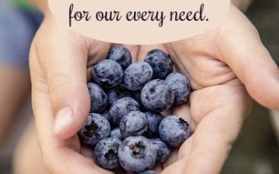 Sufficient for Every Need  
