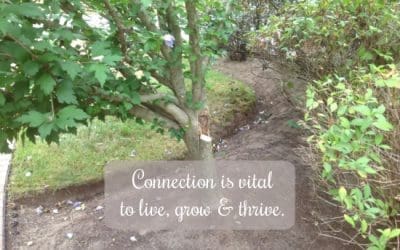 Stay Connected