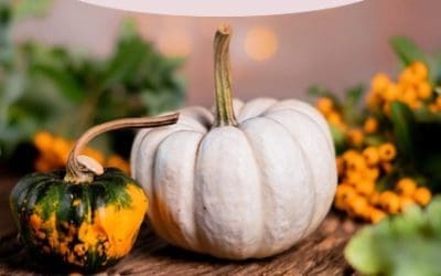 Our Changing Seasons