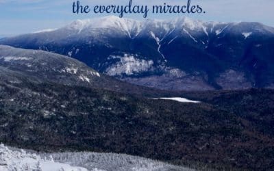 The Everyday Miracles