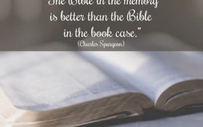 Are You Well Stocked?