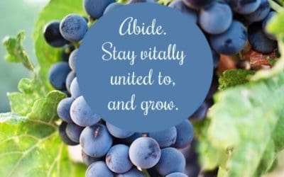 Abide & Grow 