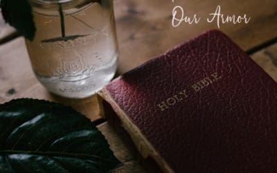 The Battle & Our Armor